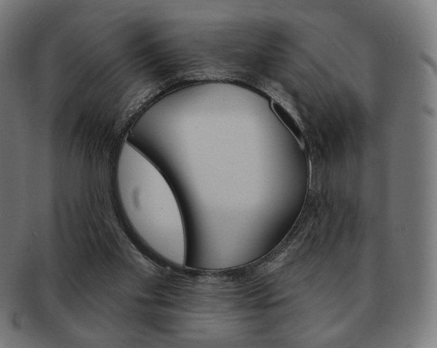 X0000092010109200709061317