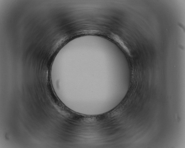 X0000092010110200709061317