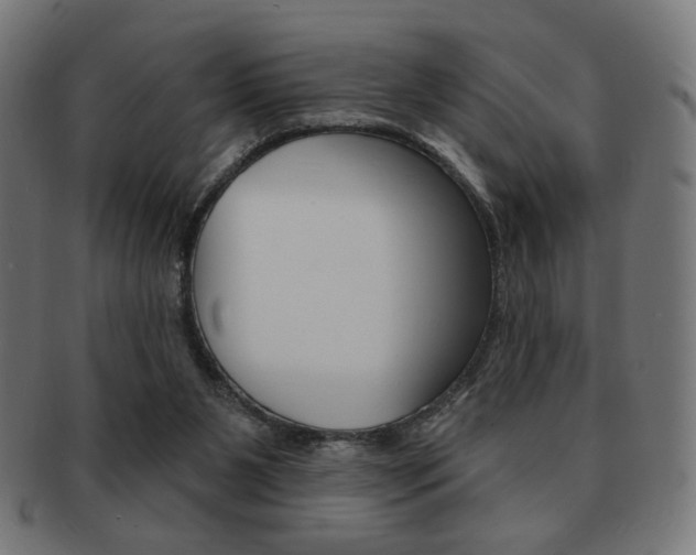X0000092010111200709061317