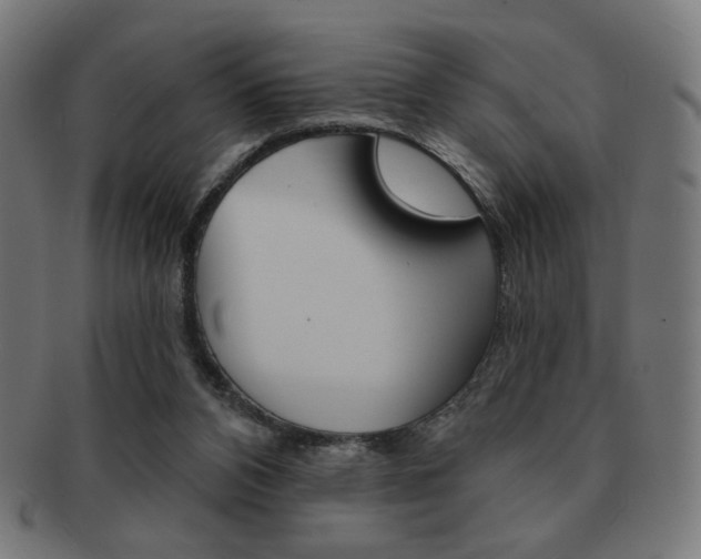 X0000092010112200709061317