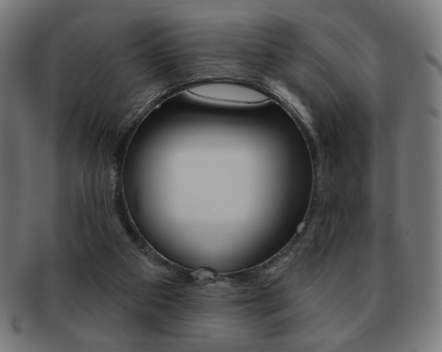 X0000092010113200709061317