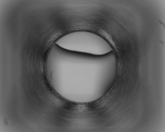 X0000092010114200709061317