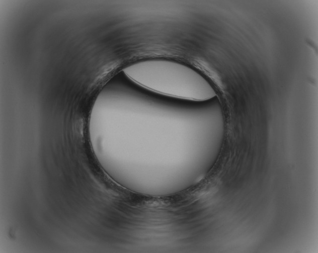 X0000092010115200709061317