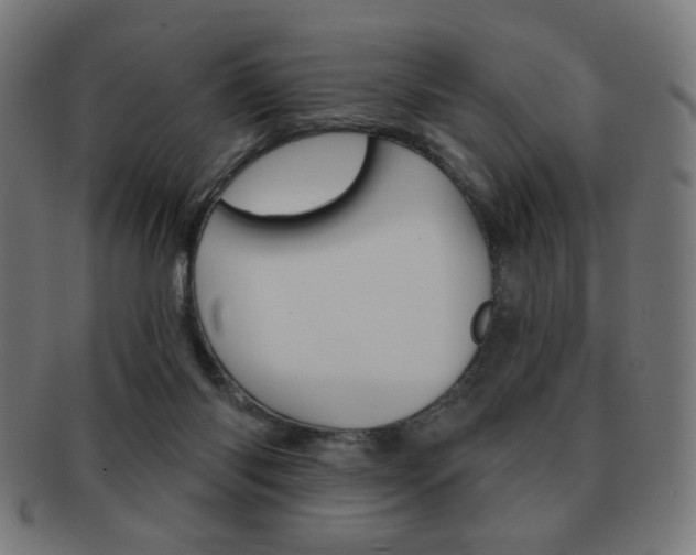 X0000092010118200709061317