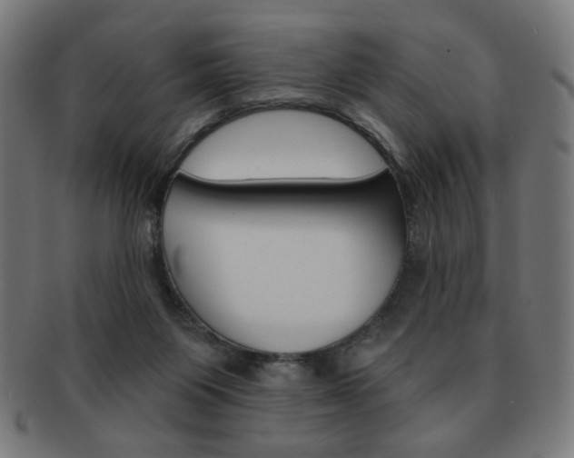 X0000092010119200709061317