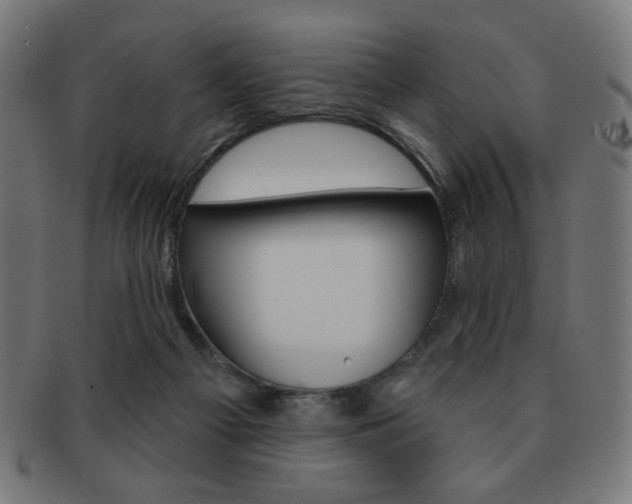 X0000092010121200709061317