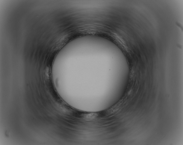 X0000092010122200709061317