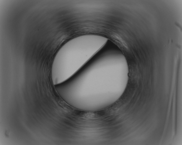 X0000092010123200709061317