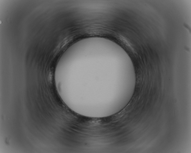 X0000092010124200709061317