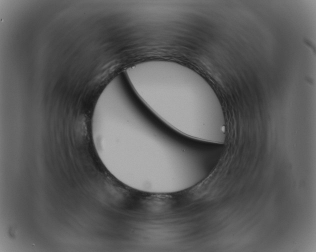 X0000092010128200709061317