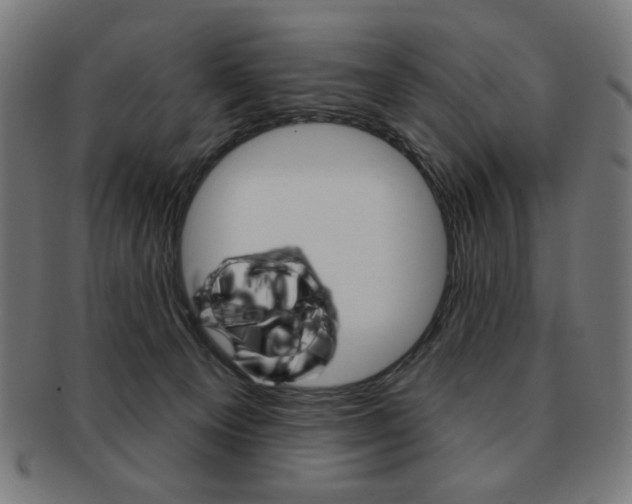 X0000092010129200709061317