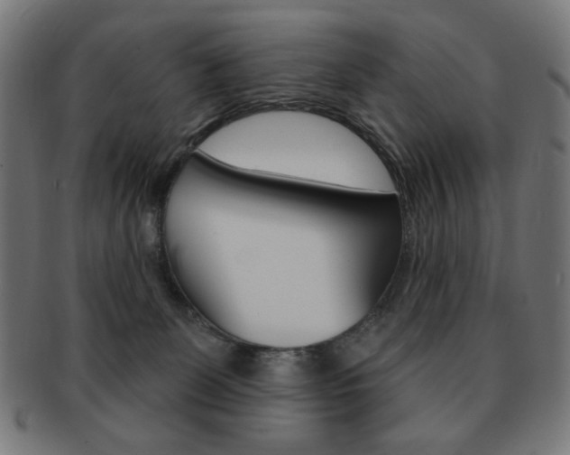 X0000092010131200709061317