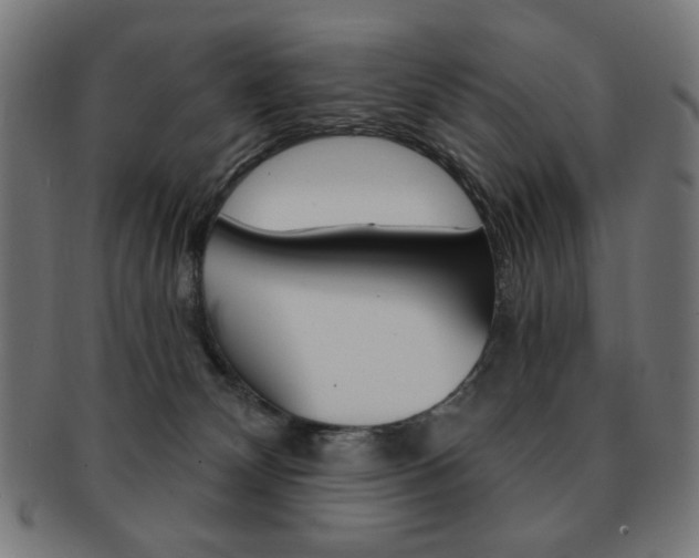 X0000092010132200709061317