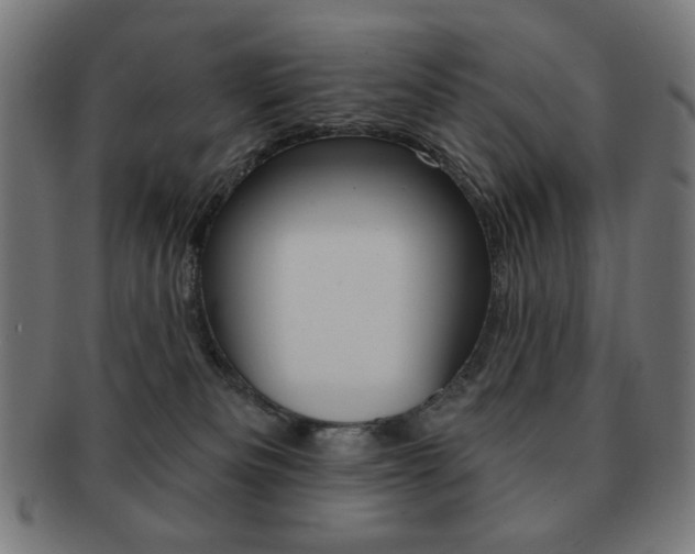 X0000092010133200709061317