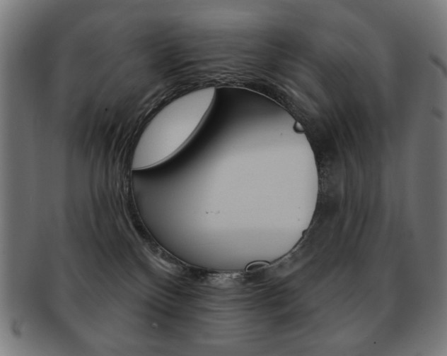 X0000092010136200709061317