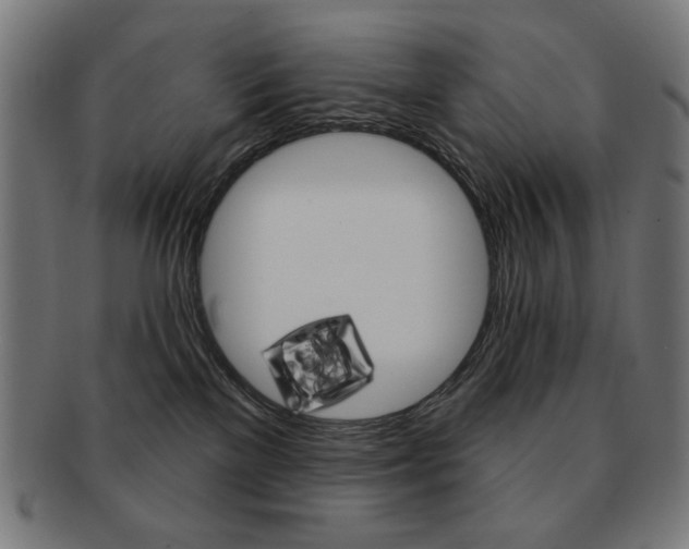 X0000092010137200709061317