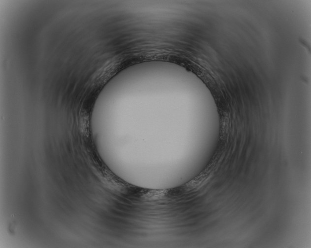 X0000092010138200709061317