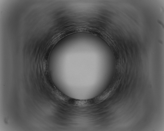 X0000092010139200709061317