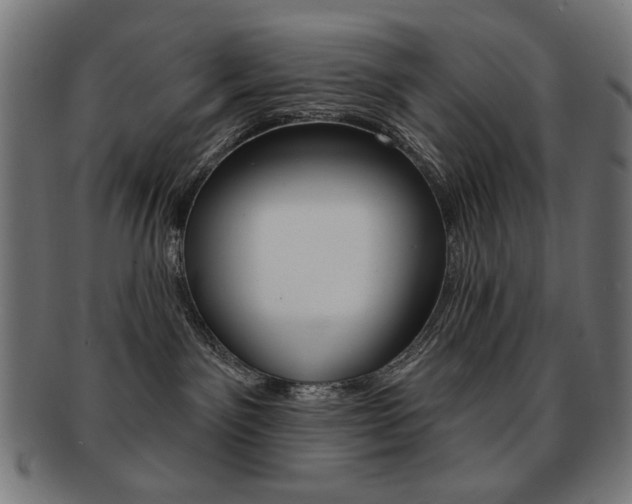 X0000092010141200709061317