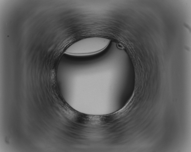 X0000092010144200709061317
