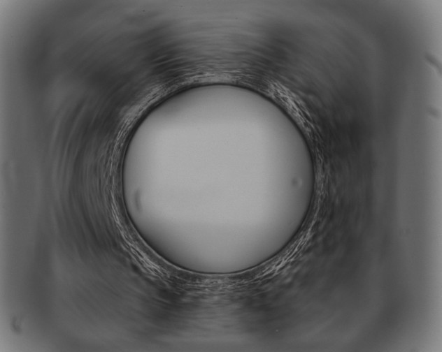 X0000092010145200709061316