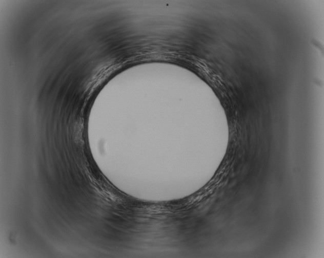 X0000092010146200709061316