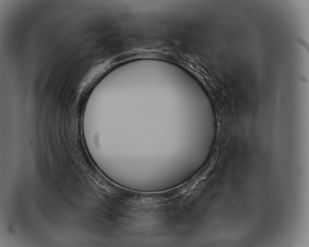 X0000092010149200709061316