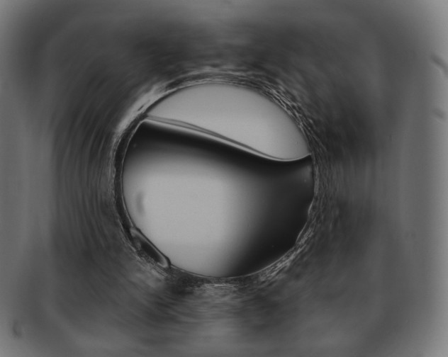 X0000092010150200709061316