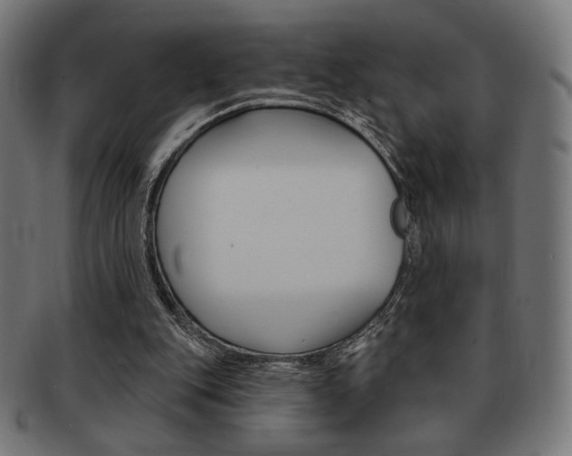 X0000092010151200709061316