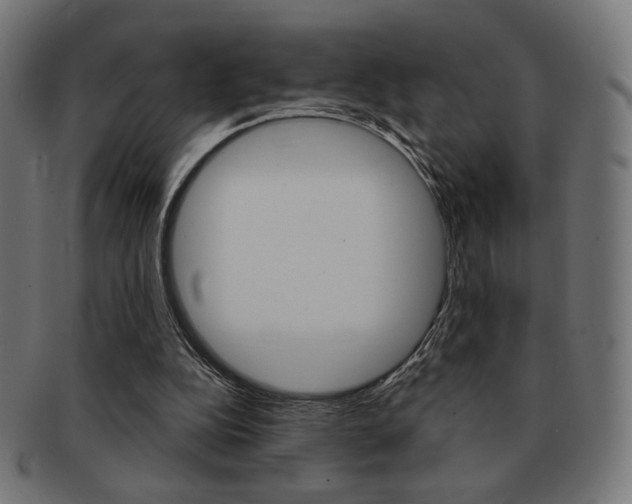 X0000092010152200709061316