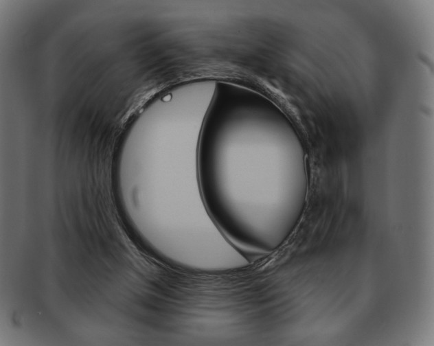 X0000092010154200709061316