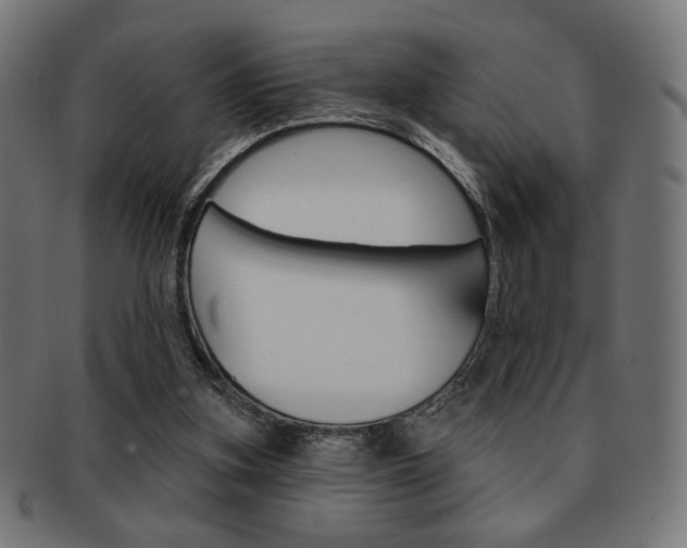 X0000092010155200709061316
