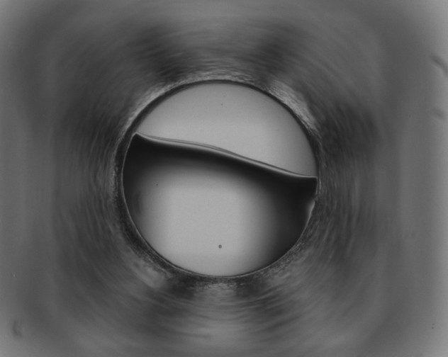 X0000092010156200709061316