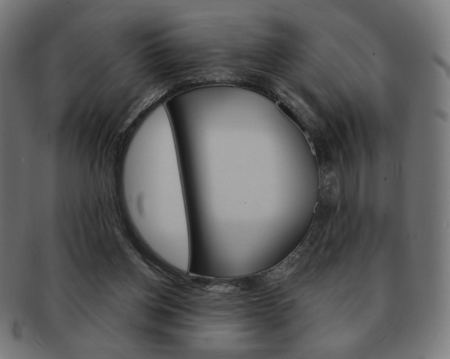 X0000092010158200709061316