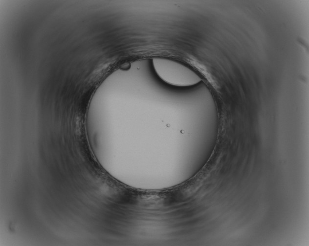 X0000092010161200709061316