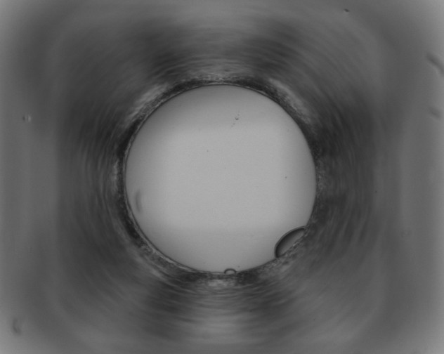 X0000092010163200709061316