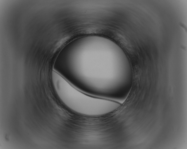 X0000092010164200709061316