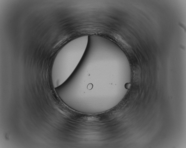 X0000092010165200709061316