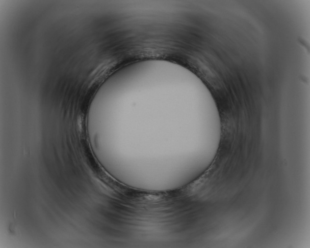 X0000092010166200709061316