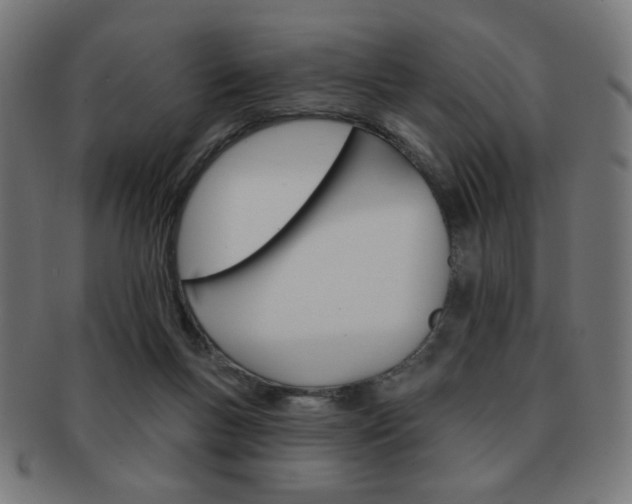 X0000092010167200709061316