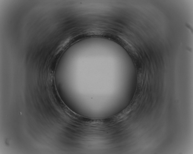 X0000092010168200709061316