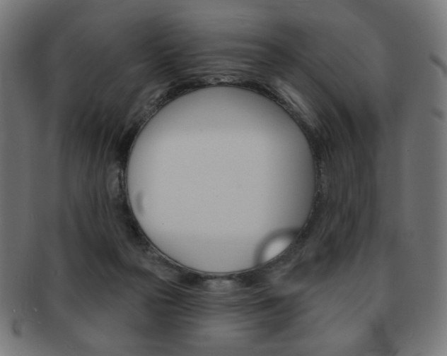 X0000092010169200709061316