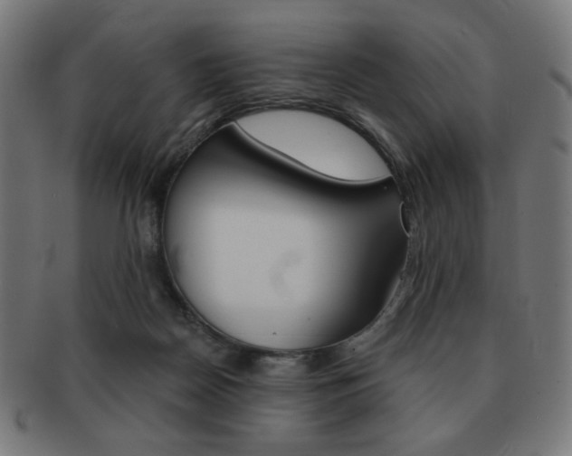X0000092010170200709061316