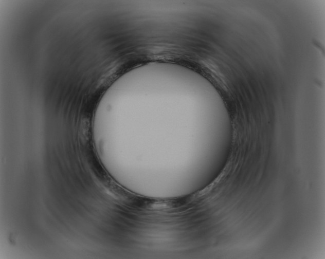 X0000092010171200709061316