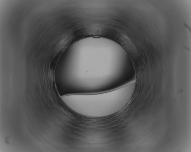 X0000092010172200709061316