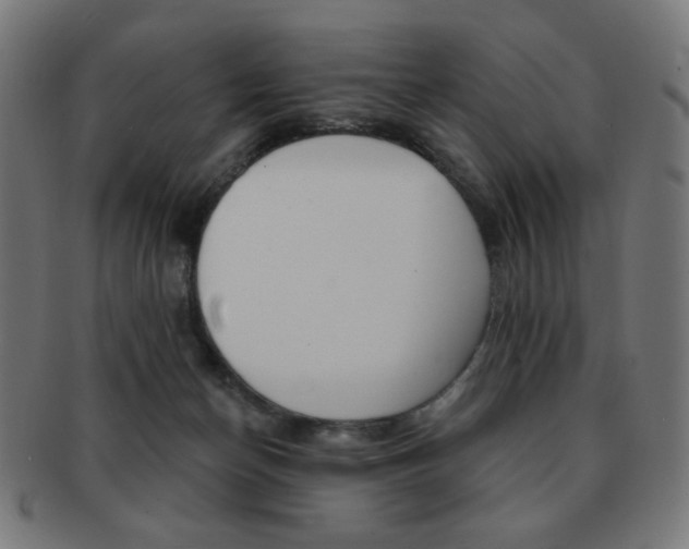 X0000092010174200709061316