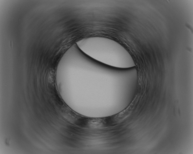 X0000092010175200709061316