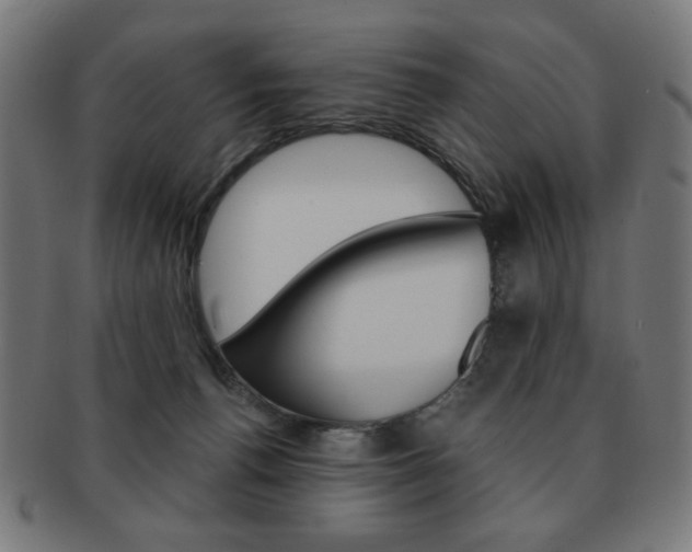 X0000092010176200709061316