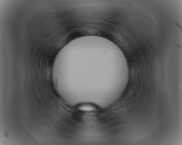 X0000092010177200709061316