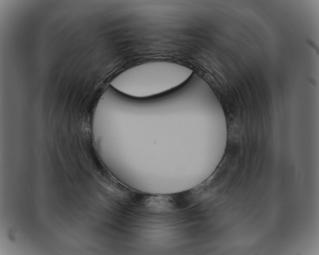 X0000092010179200709061316
